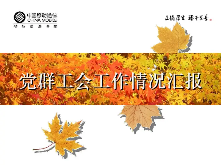 中国移动公司工作汇报PPT预览图