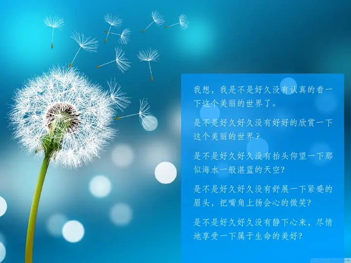 唯美蒲公英PPT背景图片预览图