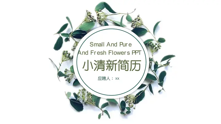 清新简约个人简历PPT模板预览图