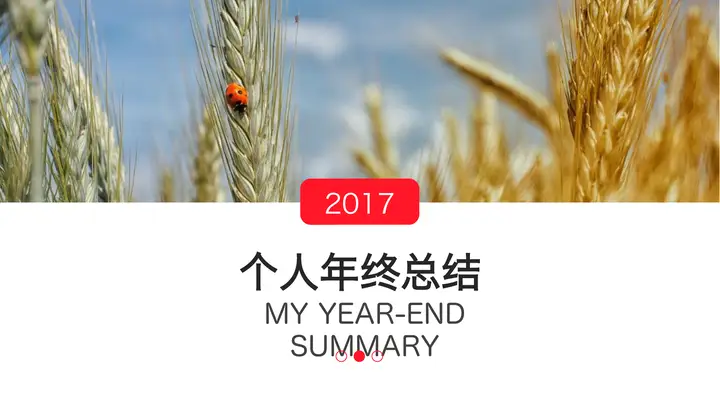 麦穗背景年终总结PPT模板预览图